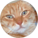 Vittorio63 profile picture